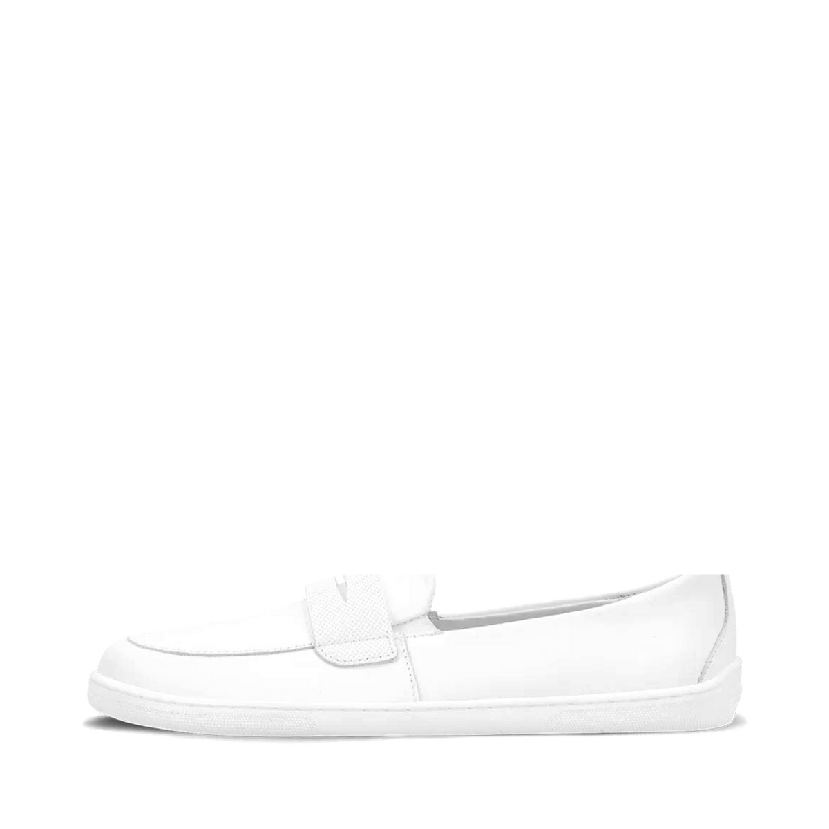 shopify-138282748b86bb5b84e93196-9b543aa809769dbc