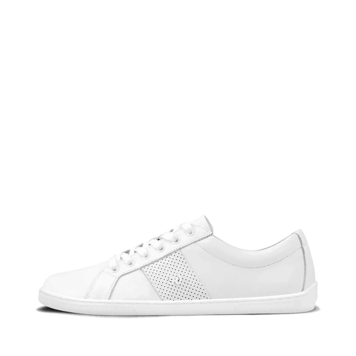 shopify-96e624bae33f1f9351e56529-9de8cb7c0689f170