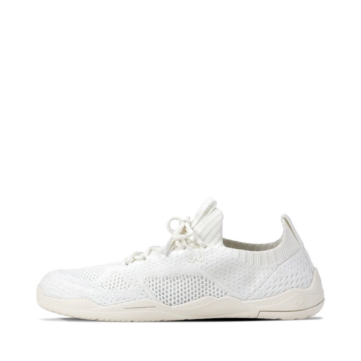 shopify-e17d075f0b52ba2e1ab5d5ac-ec66d0e43b105c19